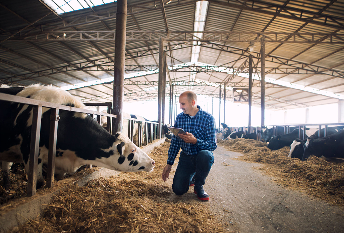 How Organic Farming Supports a Sustainable Future